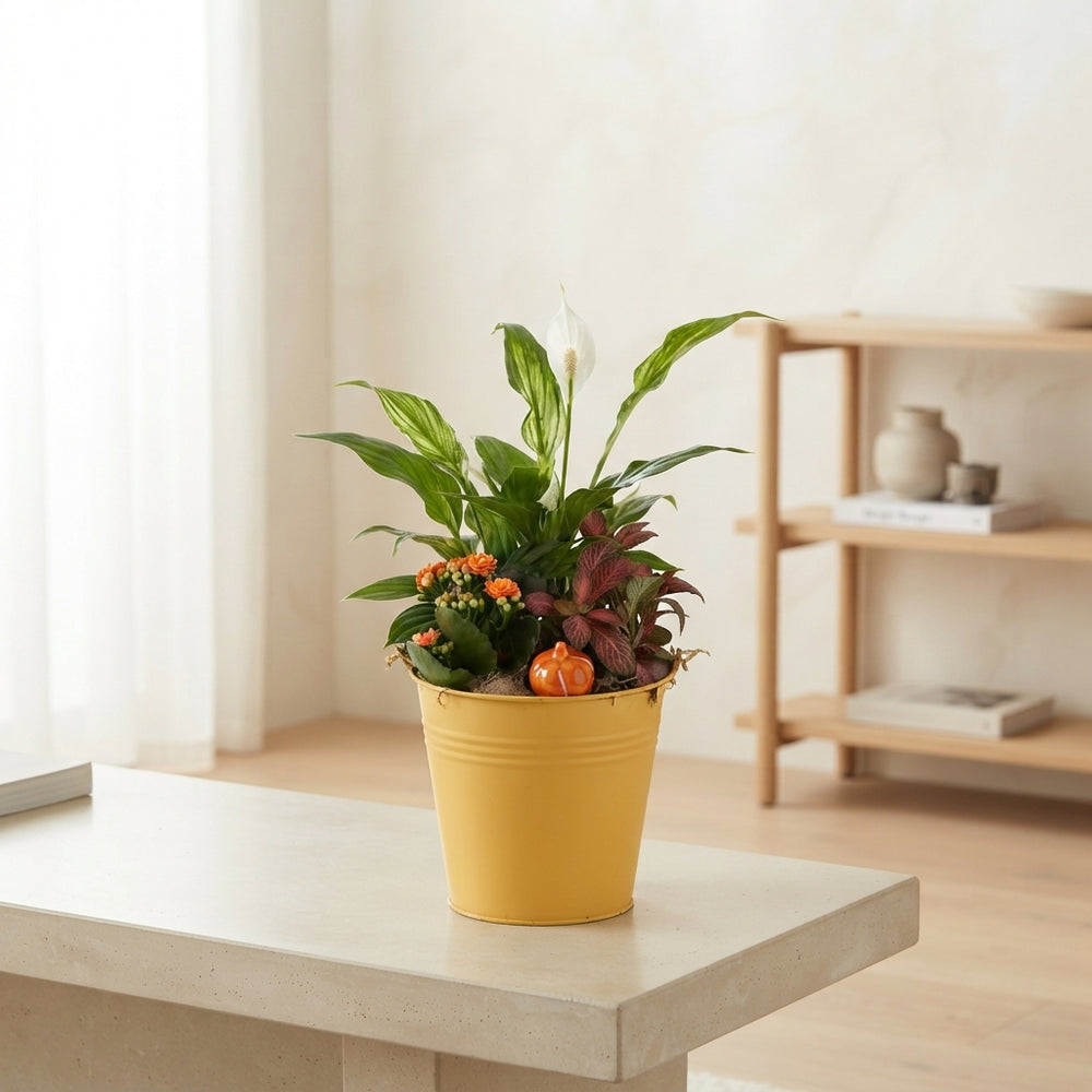 Mixed Floral Arrangement in Yellow Zinc Bucket