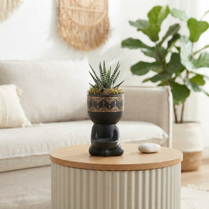 Black Buddha Haworthia Arrangement – 14cm Ceramic Pot