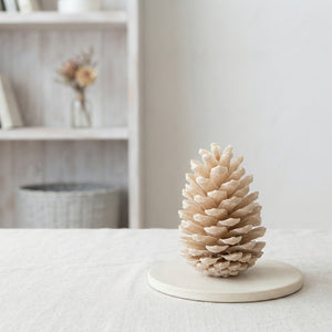 Cream Wax Flower – Dried Floral Decoration