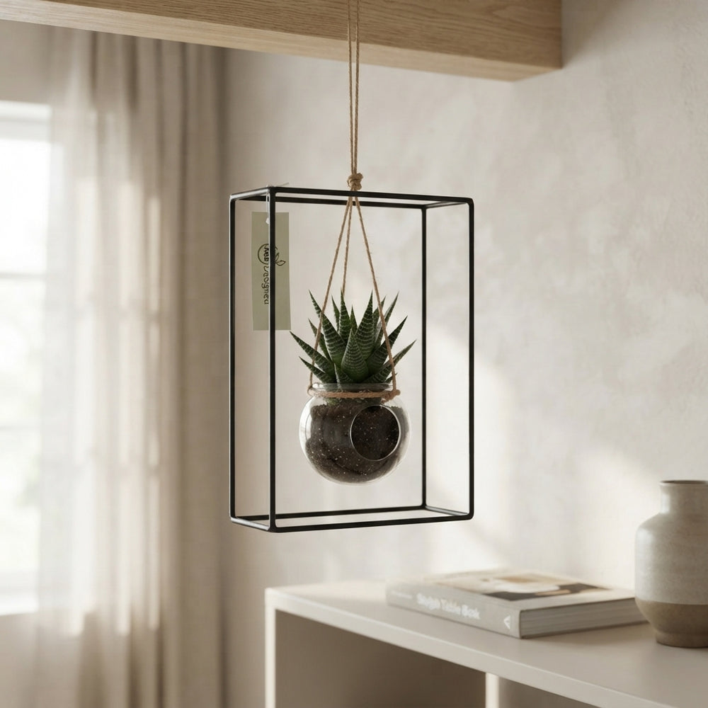 Black Metal Hanging Plant Rack Arrangement – 20cm