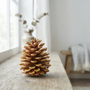 Natural Austrian Pine Cones – 10kg