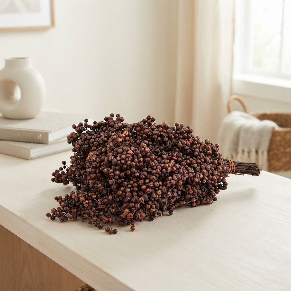 Schinus Brown Bunch – 25–49cm Stems