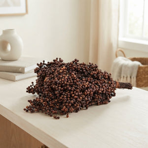 Schinus Brown Bunch – 25–49cm Stems