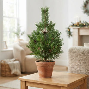 Natural Green Pine Cones – Christmas Decoration