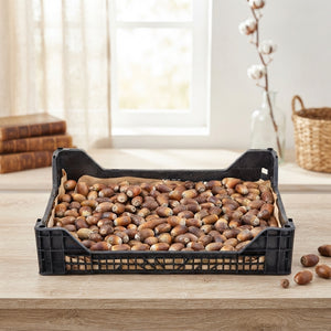 Natural Pine Cones for Christmas Decorations