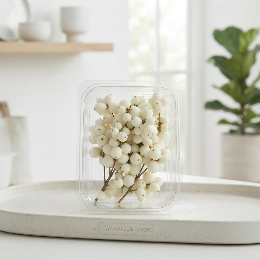 Ivory Waxflower Decorative Stems