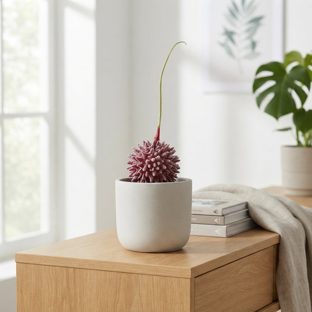 Red Wax Amaryllis Decoration