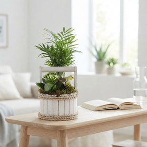 Mixed Calathea Arrangement in Round Wooden Pot – 15cm