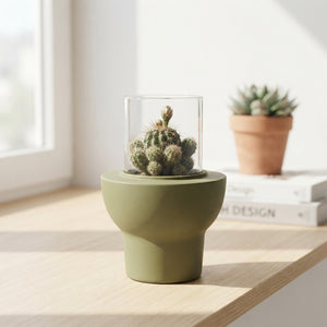 Mixed Succulent Arrangement in Ceramic Beaver Pot – 10cm