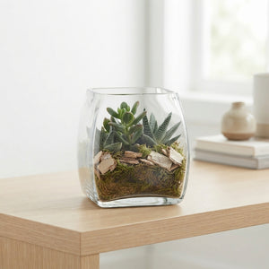 Mixed Succulent Arrangement in Glass Pot – 10cm