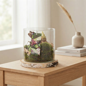 Amaryllis Arrangement in Glass Cylinder – 18cm