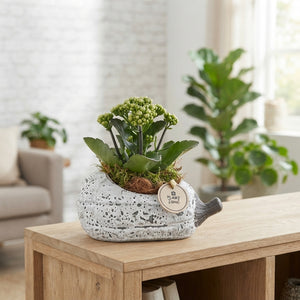 Grey Lying Pumpkin Arrangement – 23cm Ceramic Pot