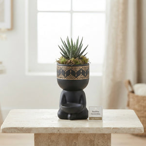 Black Buddha Haworthia Arrangement – 14cm Ceramic Pot
