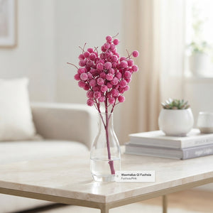 Fuchsia Waxflower Plant