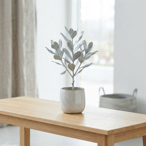 Wax Apple Olive Branch Decoration