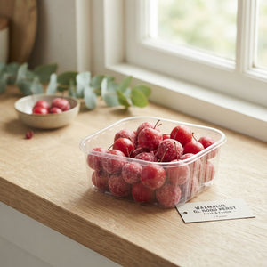 Red Wax Apple Decoration – Christmas Display