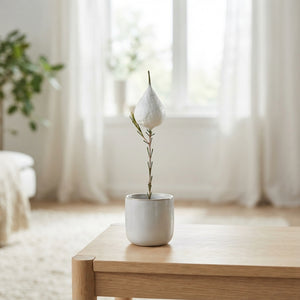 White Waxflower Stems