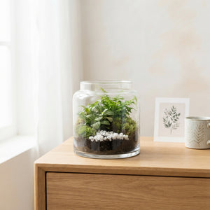Mercurius Small Glass Terrarium – 12cm