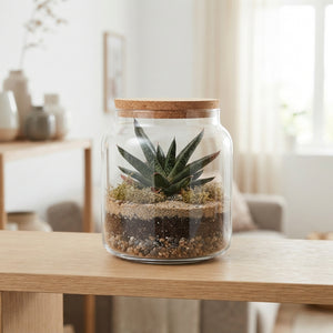 Gasteria Terrarium Arrangement – 10cm Glass Bowl
