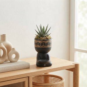 Black Buddha Haworthia Arrangement – 14cm Ceramic Pot
