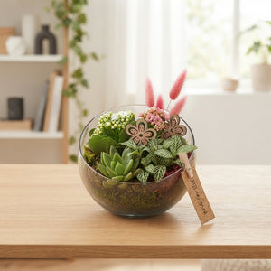 Pink and White Half-Ball Plant Arrangement – 18cm Glass Pot