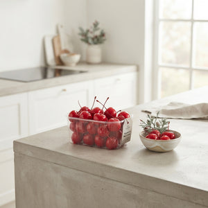 Red Crab Apple Decorative Branches