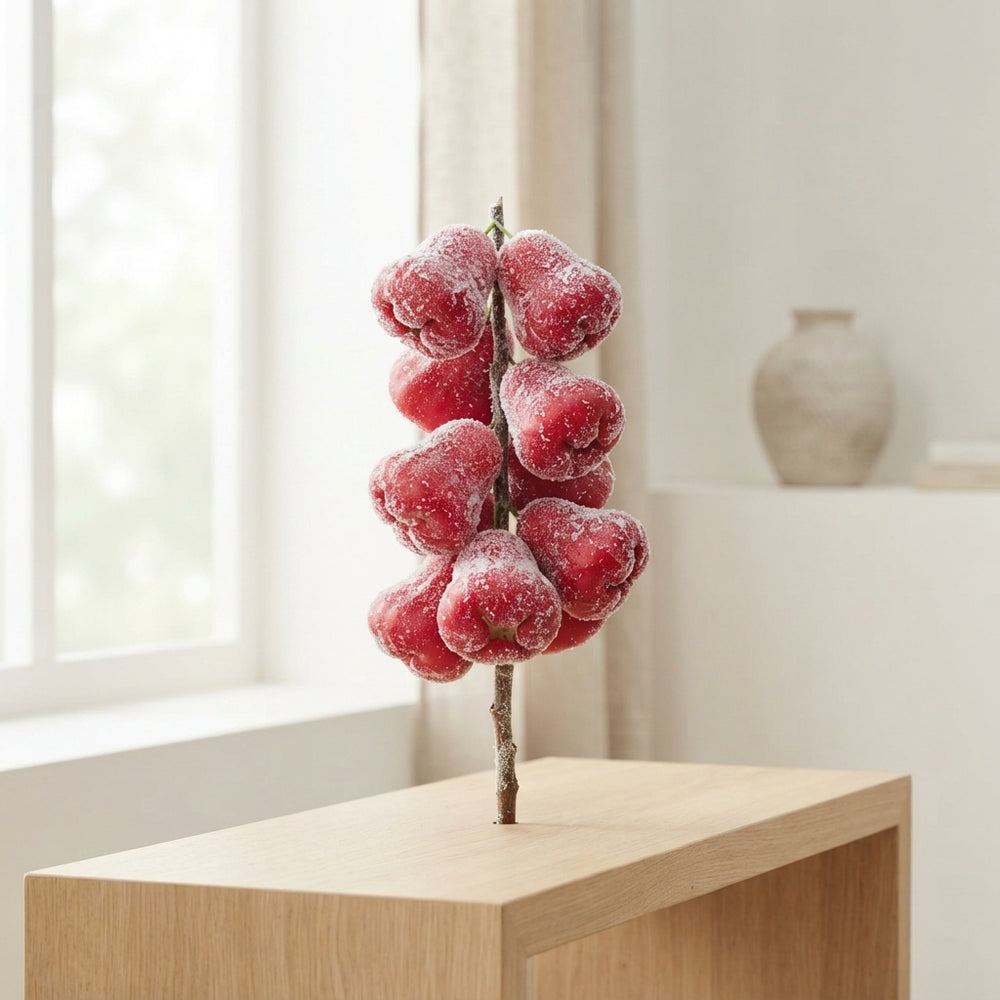 Red Wax Apple Decorative Plant