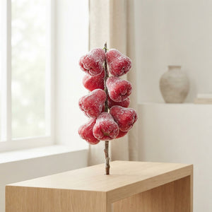 Red Wax Apple Decorative Plant