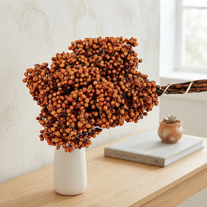Orange Schinus Tangerine Bunch – Dried Stems