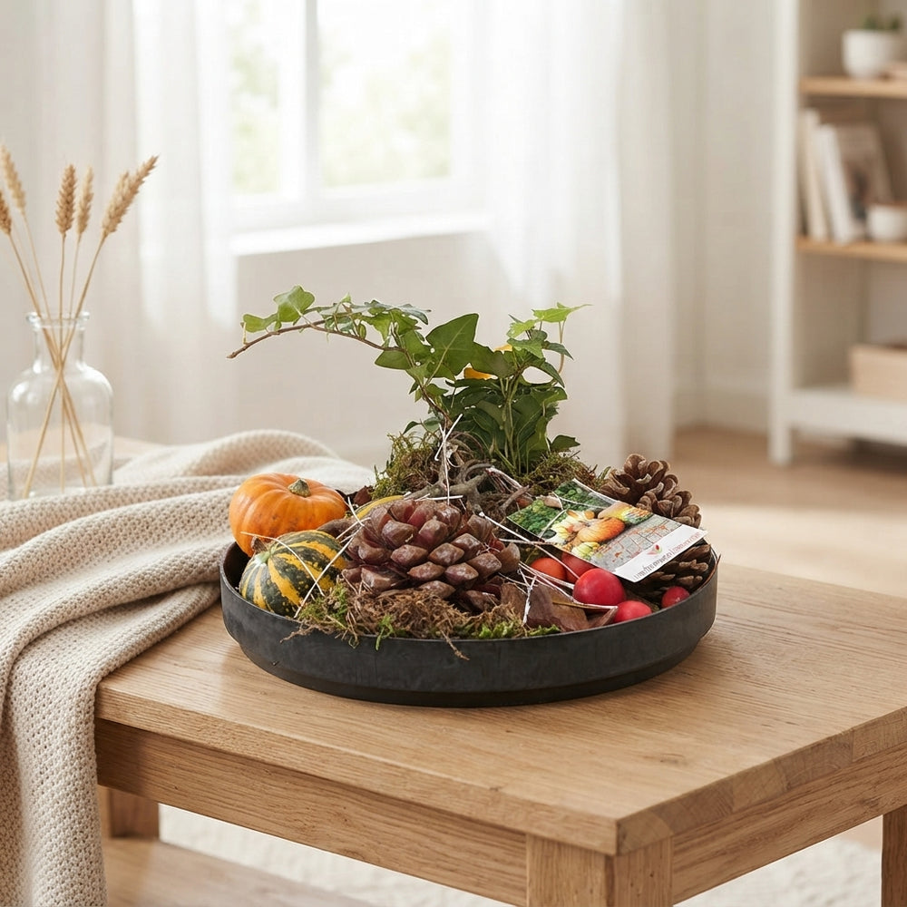 Mixed Sierfruit Arrangement – 27cm Pot