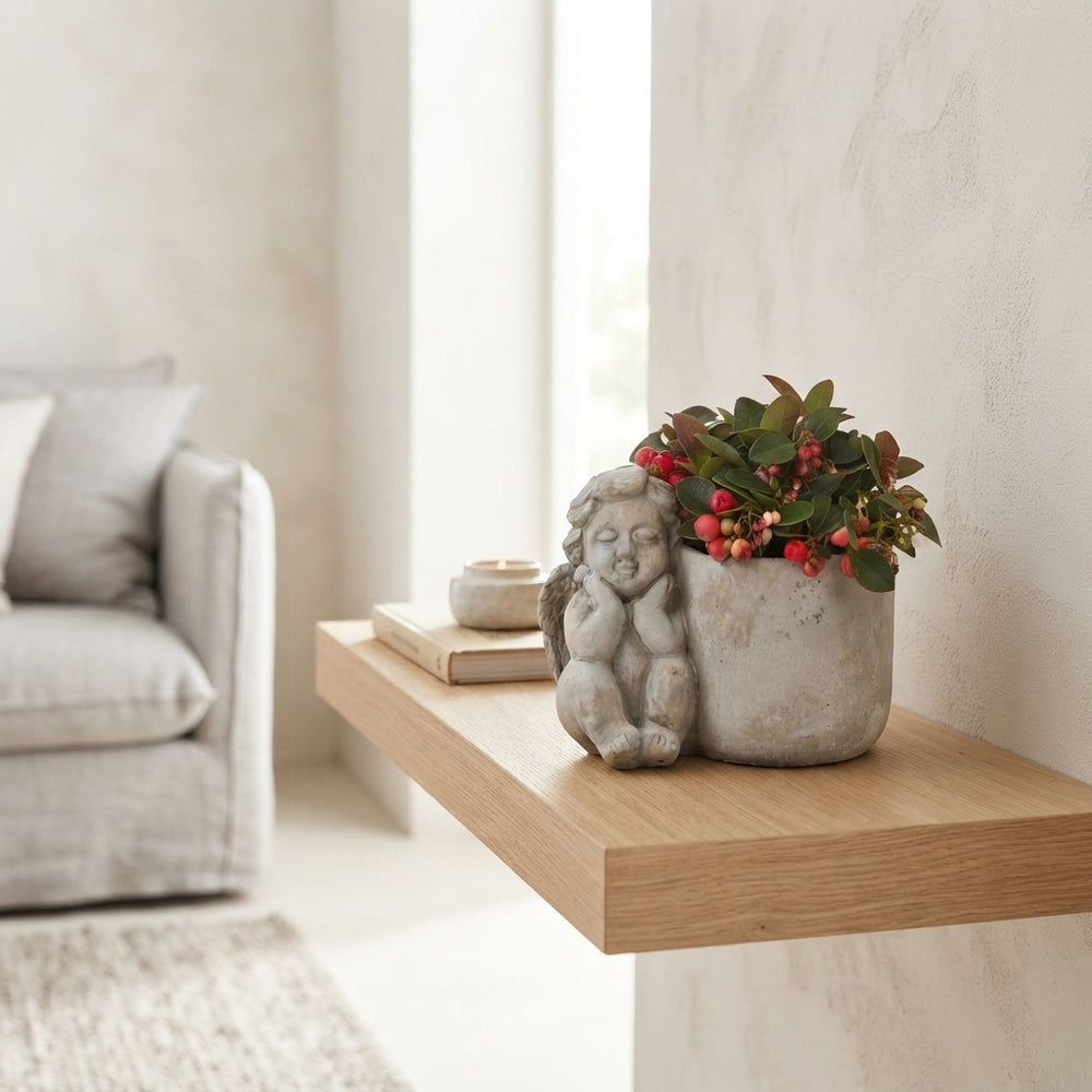 Indoor Garden Plant Arrangement – 17cm Ceramic Pot