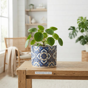 Oval Decorative Ceramic Plant Pot – 14cm