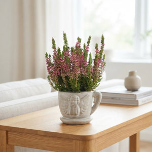 Garden Plant Arrangement – 13cm Ceramic Pot