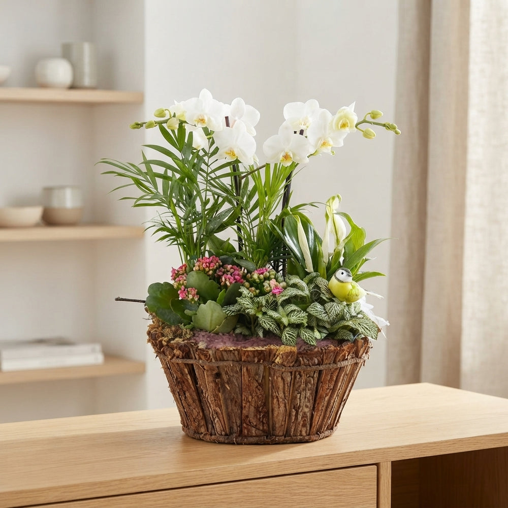 Round Bark Plant Arrangement