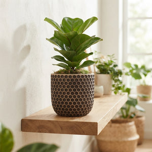 Terracotta Cylinder Plant Pot – 11cm