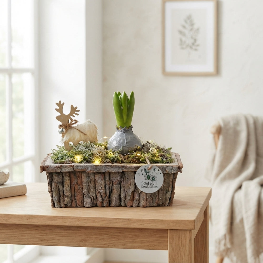Grey Bark Hyacinth Arrangement with LED Lights – 34cm