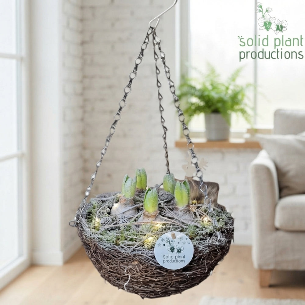 Hyacinth Hanging Basket with LED Lights – 25cm