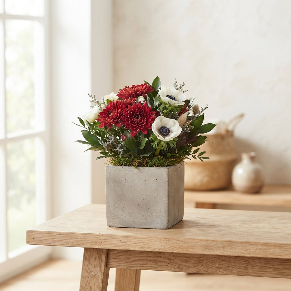 Seasonal Plant Arrangement in Concrete Pot – 17cm