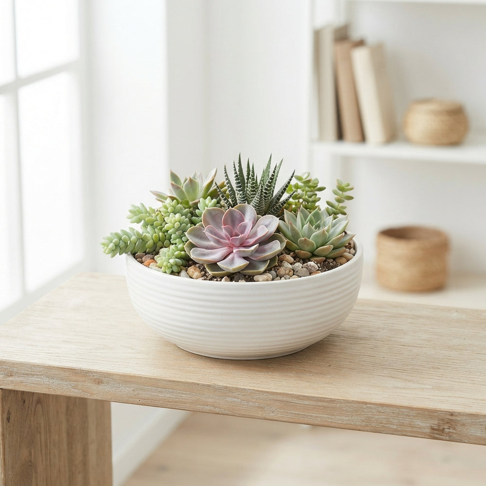 White Ceramic Plant Arrangement – 24cm Bowl