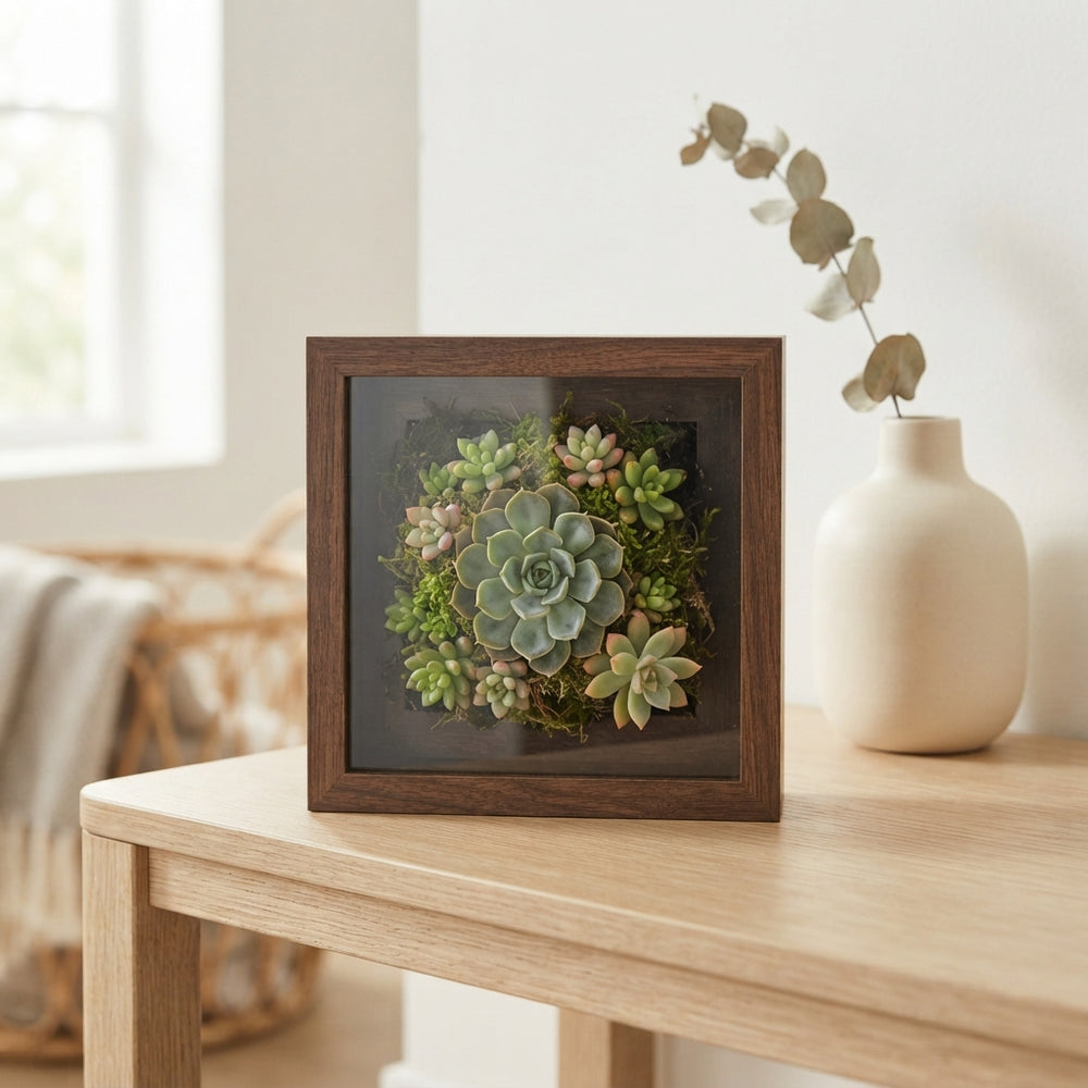 Rootless Succulent Photo Frame Arrangement – 12cm