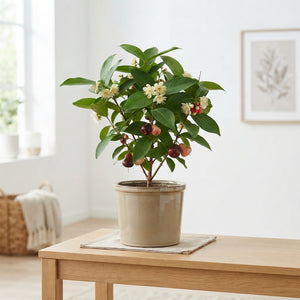 Sand Wax Apple Decorative Stem