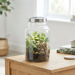 Large Glass Milk Churn Terrarium with Solar LED