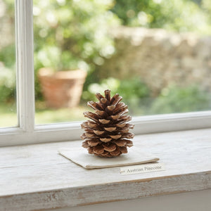 Natural Austrian Pine Cone Decoration – 5kg