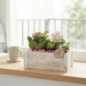 Whitewashed Wooden Plant Arrangement – 20cm