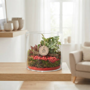 Red Cylindrical Glass Plant Arrangement – 20cm Pot
