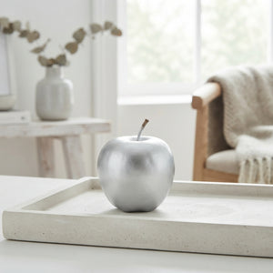 Silver Wax Apple Decorative Plant