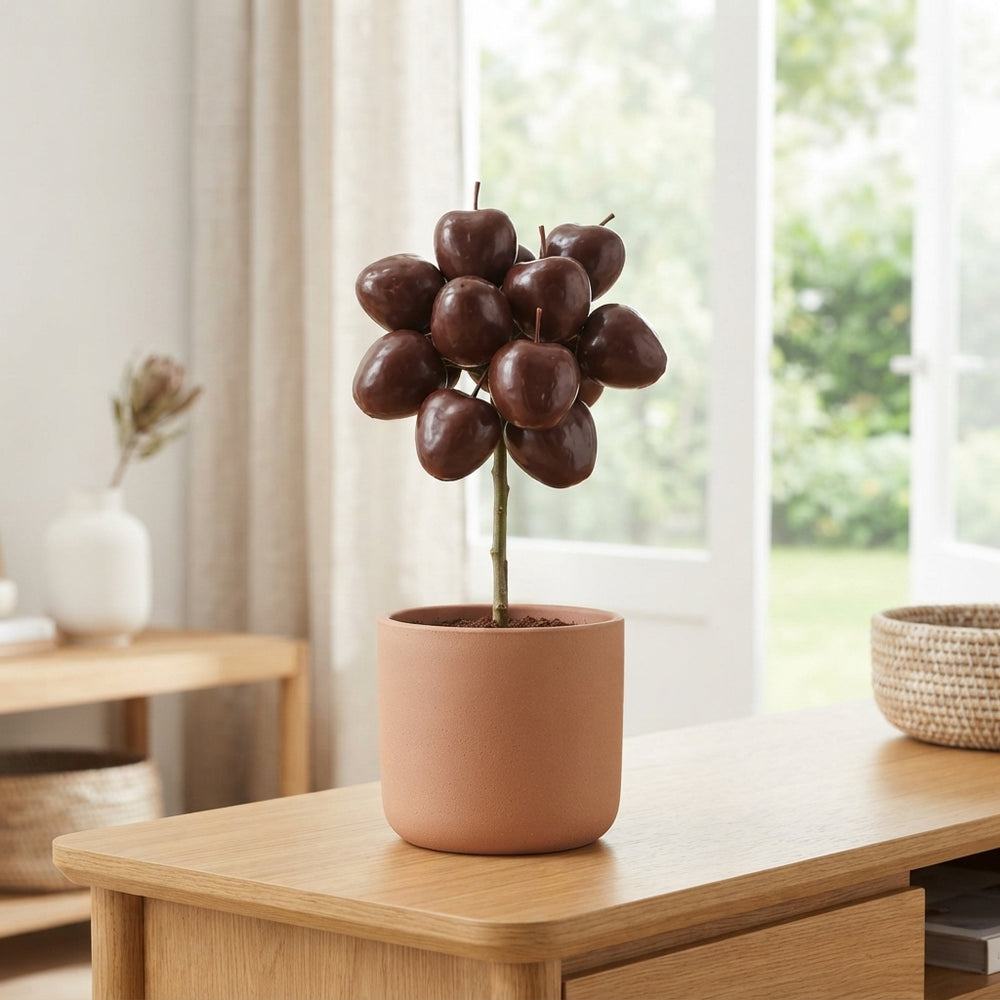 Chocolate Wax Apple Decorative Plant