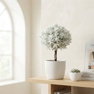 White Waxflower Stems – 39 Stem Bunch