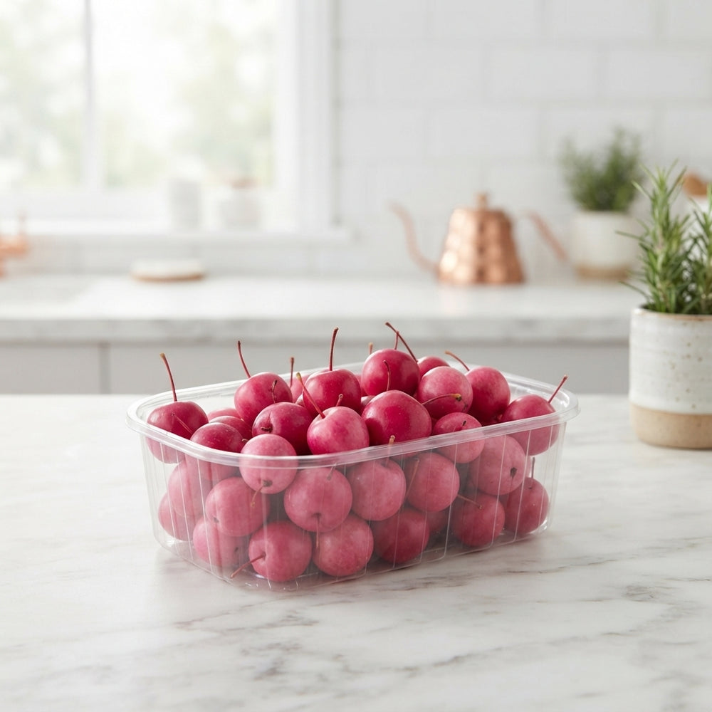 Fuchsia Wax Flower Plant