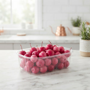 Fuchsia Wax Flower Plant